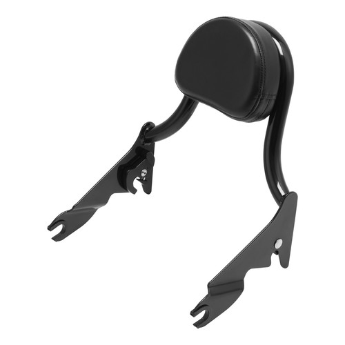 Rear passenger backrest sissy - passenger,