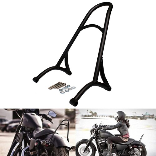 Short sissy bar passenger - bar,