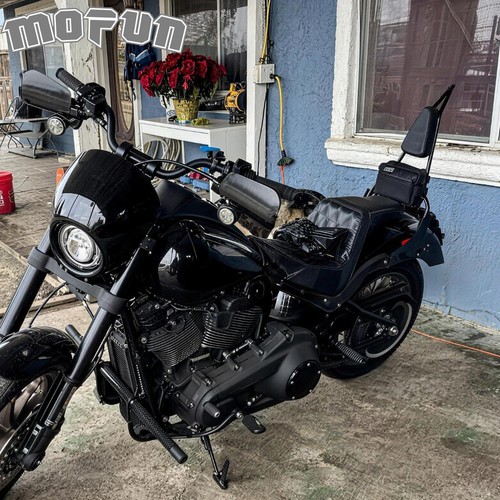 Mofun passenger sissy bar - mofun,
