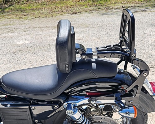 Mofun multi purpose sissy bar - multi-purpose,